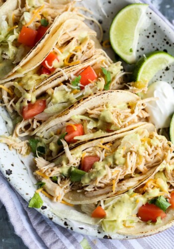 Beergarita chicken tacos on a plate with toppings