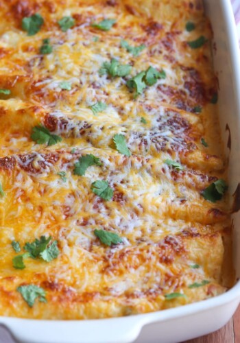 Sour Cream Chicken Enchiladas Baked in a 9x13 dish