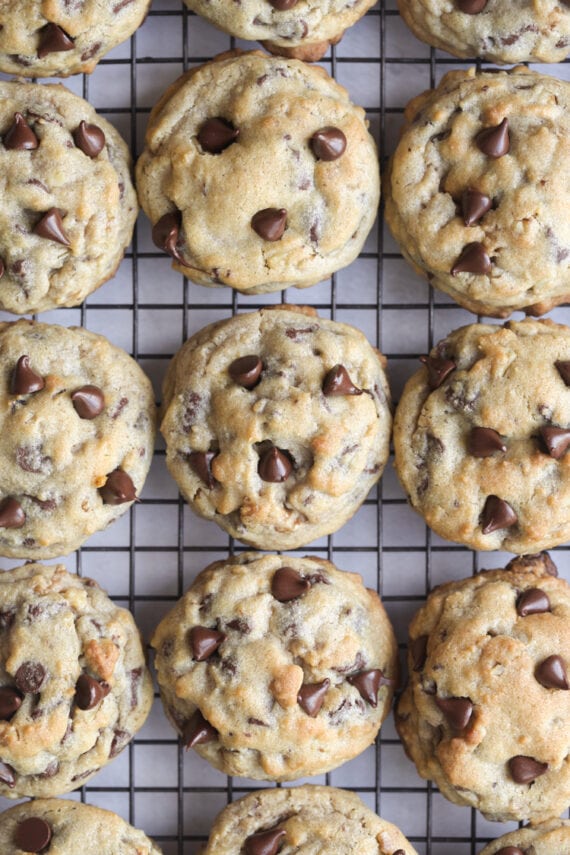 Chocolate Chip Walnut Cookies on a cooking rack