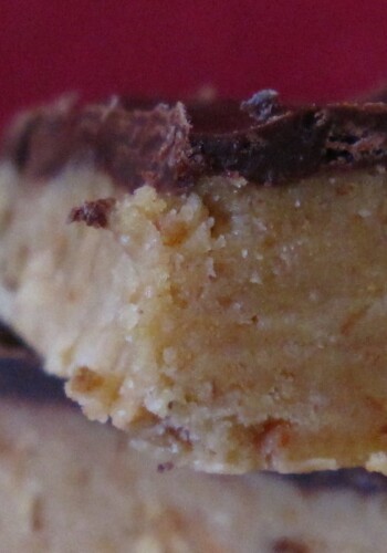 A Super Tight Shot of a Peanut Butter Dessert Square on Top of Another Bar