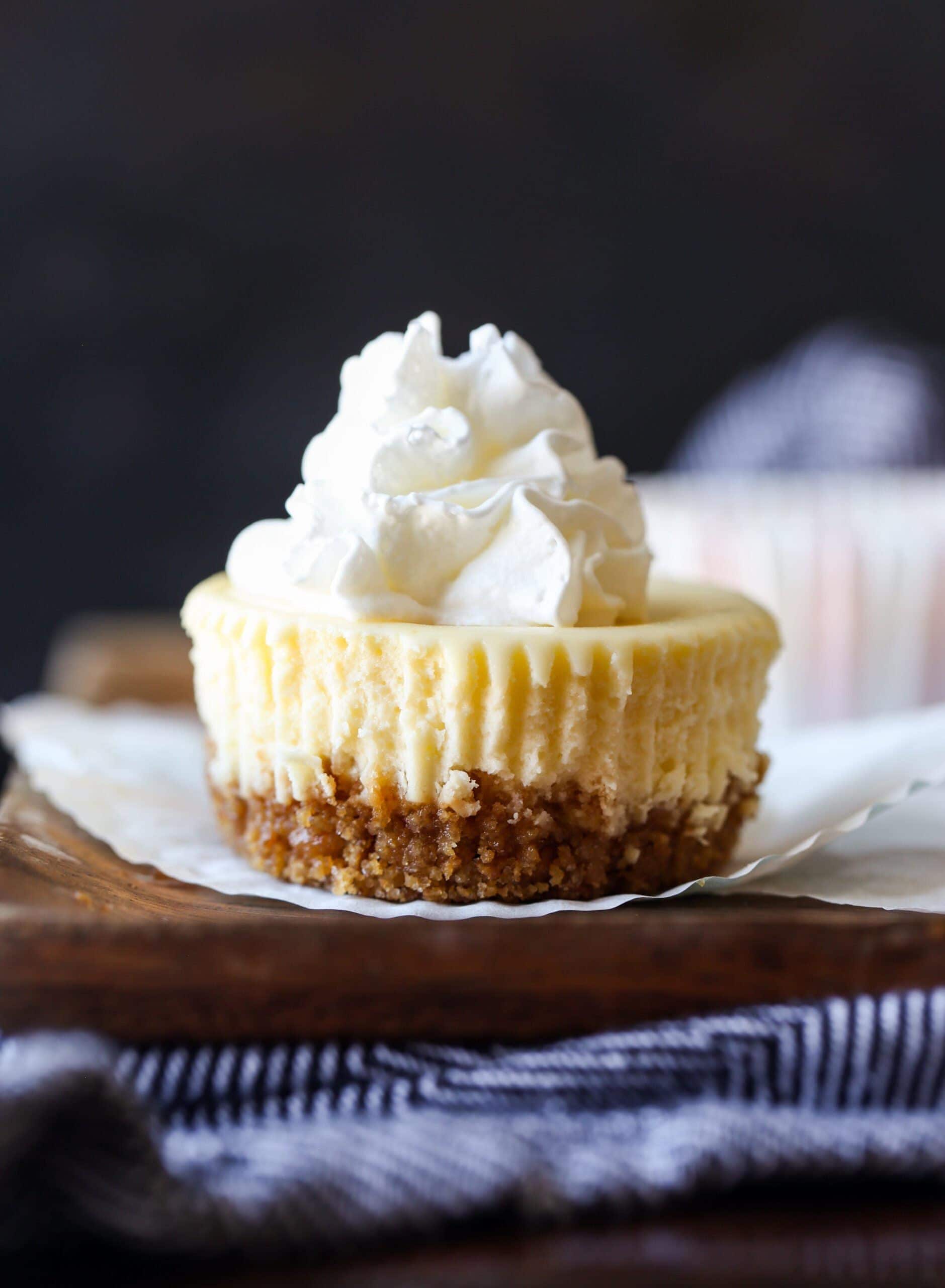 Mini cheesecake topped with whipped cream