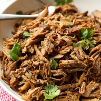 Pork Carnitas on a plate garnished with cilantro