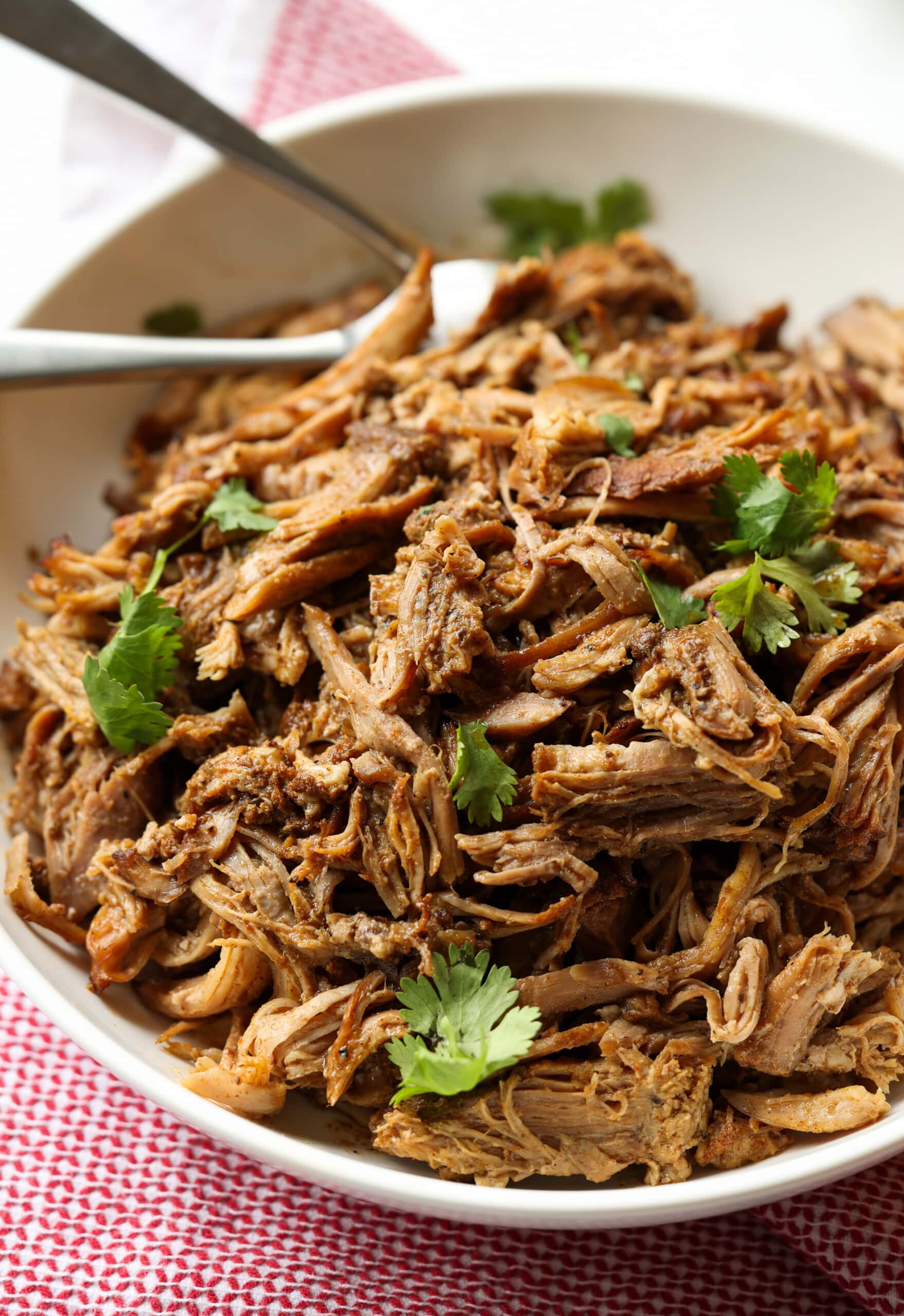 Pork Carnitas on a plate garnished with cilantro